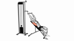 Cable Incline Pushdown